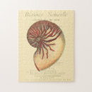 Suche nach rede puzzle Küste