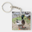 Suche nach niedliche enten schlüsselanhänger Tierwelt