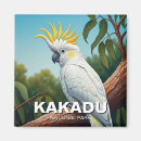 Suche nach cockatoo magnete Natur