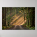 Suche nach zedernbaum poster Landschaft