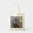 Suche nach quokka accessoires Australische wildtiere