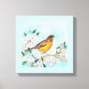 Suche nach rotkehlchen leinwandbilder Aquarell
