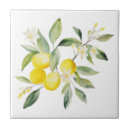 Suche nach fliesen Für alle