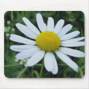 Suche nach margeriten mousepads Chrysanthemum