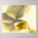 Suche nach künstlerisches poster Blumenreich