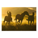 Suche nach ponderosa poster Oregon