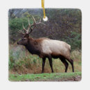 Suche nach bulle ornamente Weihnachten