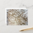 Suche nach biker postkarten Für sie