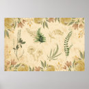 Suche nach antikes botanisches poster Blume