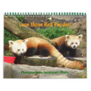 Suche nach pandas Zoo