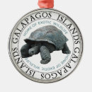 Suche nach tortoise ornamente Ecuador