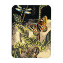 Suche nach studio magnete Tiere