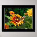 Suche nach wildflower painting poster Plant
