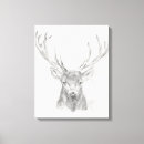 Suche nach zeichnung leinwandbilder Zeichnend