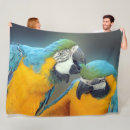 Suche nach macaws Parrot