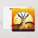 Suche nach gazelle Antelope