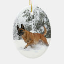 Suche nach malinois ornamente Hunde