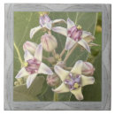 Suche nach crown fliesen Für alle