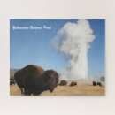 Suche nach yellowstone puzzle Bison