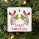 Suche nach niedlicher hamster ornamente Weihnachten