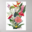 Suche nach giclee poster Blume