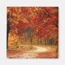 Suche nach buntes herbstblatt magnete Herbstfarben