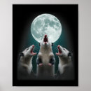 Suche nach possum poster Mond