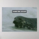 Suche nach süßwasser poster Jede person