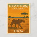 Suche nach afrikanische löwen postkarten Safari