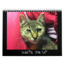 Suche nach lustige katzen kalender Haustier