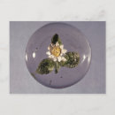 Suche nach 1850 postkarten Französisch