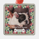 Suche nach hundeknochen ornamente Hundeschmuck