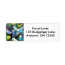 Suche nach budgerigars Parakeet
