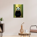 Suche nach bambuswald poster Panda