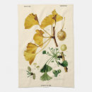 Suche nach ginkgo geschirr tücher Darstellung