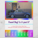 Suche nach verloren flyer Hunde