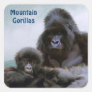 Suche nach gorillas aufkleber Ruanda