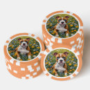 Suche nach braun poker chips Welpe