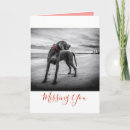 Suche nach kragen karten Hund