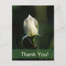 Suche nach rosenknospe postkarten Jede person