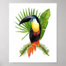 Suche nach toucans poster Dschungel