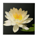 Suche nach lotos blume fliesen Natur