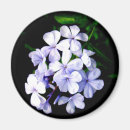 Suche nach botanik runde magnete Botanisch
