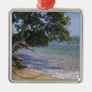 Suche nach hawaii strand ornamente Tropisch