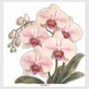 Suche nach orchidee aufkleber Jede person