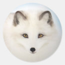 Suche nach arktis aufkleber Jede person