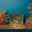 Suche nach geweihe haustier fotoplatten Banff nationalpark