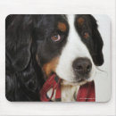 Suche nach tierköpfe mousepads Vertikal