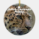 Suche nach amur Russland