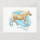 Suche nach quarter horse postkarten Palomino